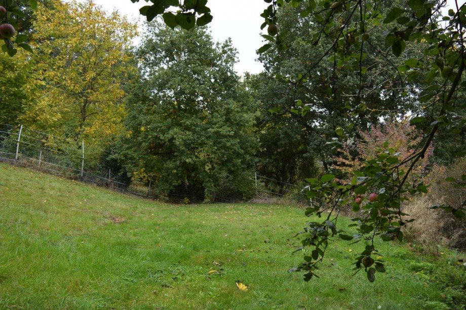 Baumbestand Einfamilienhaus Schweppenhausen