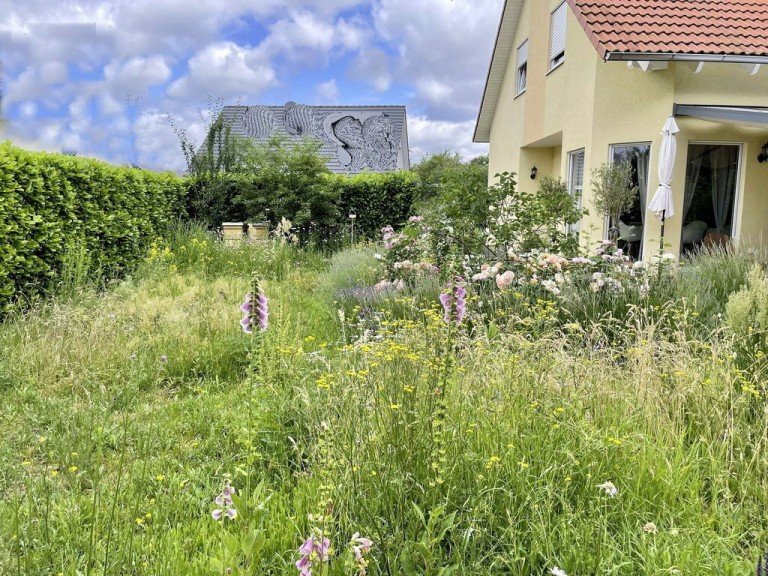 Ansicht Grolsheim Haus Auf ins neue Zuhause