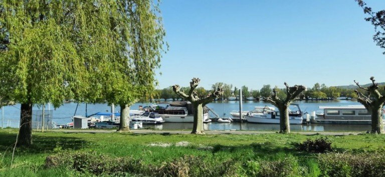 Rheinufer - Oestrich Winkel �strich Winkel Einfamilienhaus Behagliches Wohnen � Sonnenterrasse, Garage, im sch�nen Rheingau
