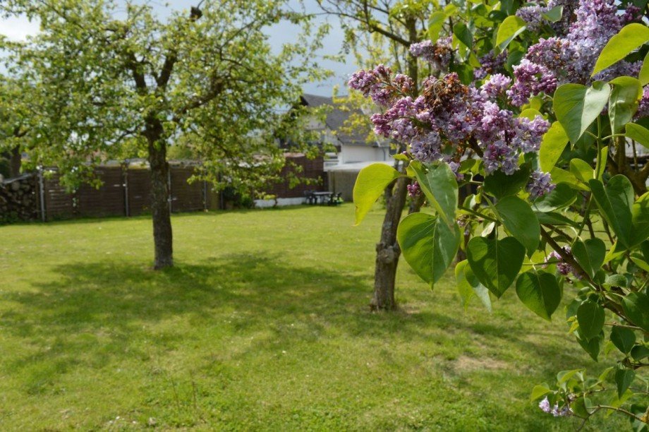 Wiesenfl�che mit B�umen Mehrfamilienhaus Ebschied