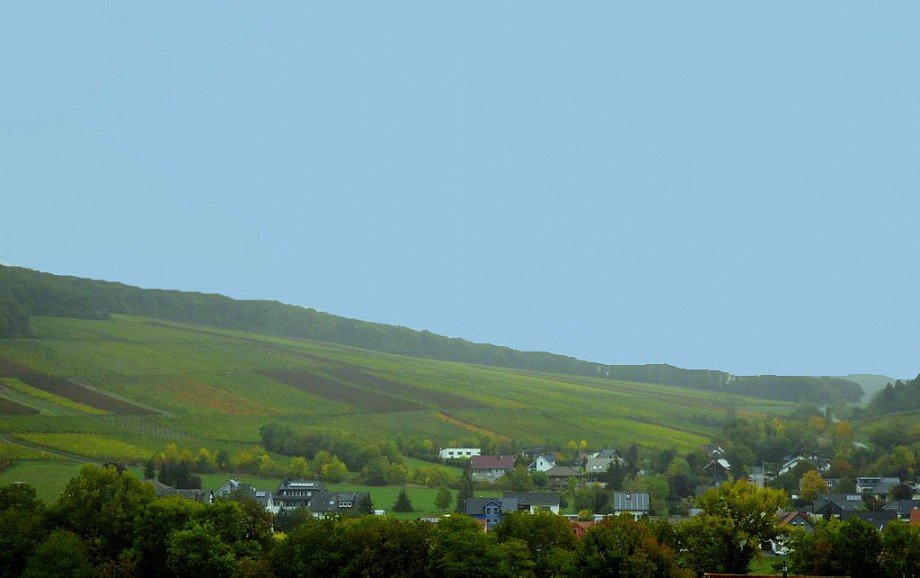 Fernsicht Einfamilienhaus Schweppenhausen
