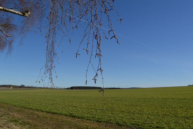 Umgebung Mehrfamilienhaus Ebschied