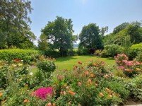 Hauptbild Stilvolles Zuhause mit Terrasse, Jacuzzi und Privatsphäre